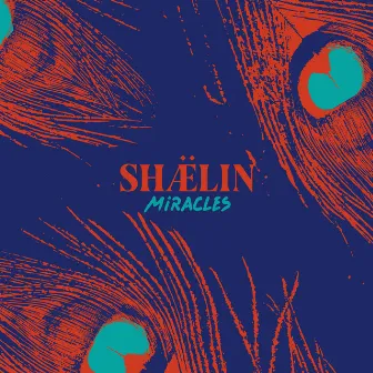 Miracles by SHÆLIN