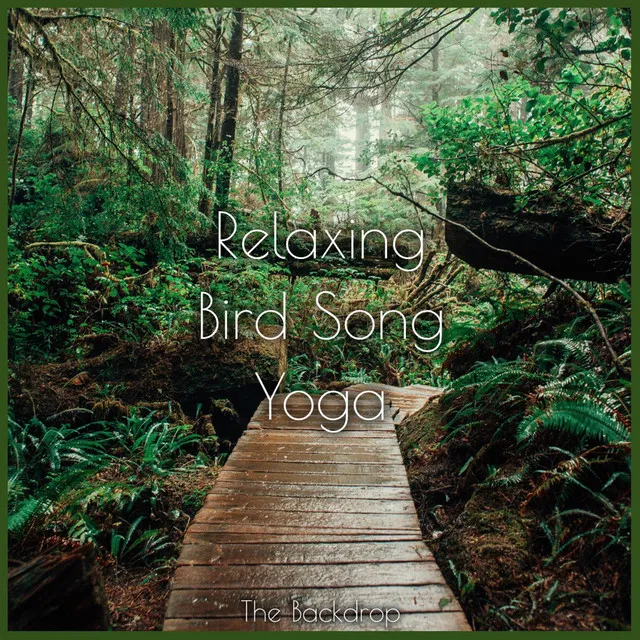 Relaxing Bird Song Yoga Stretching