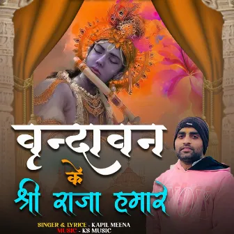 Varindavan Ke Shree Raja Hamare by Kapil Meena