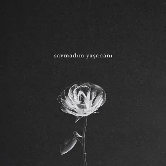 saymadım yaşananı by Zibo