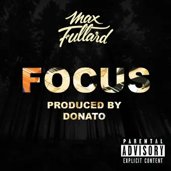 Focus by Max Fullard