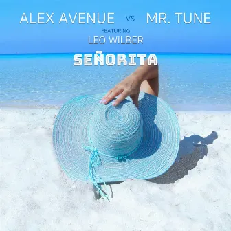 Señorita by Alex Avenue