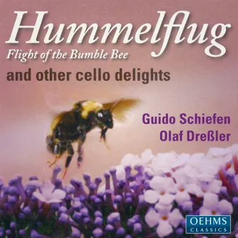 Cello Recital: Schiefen, Guido - Rimsky-Korsakov, N. / Saint-Saens, C. / Frescobaldi, G. / Ravel, M. (Hummelflug and Other Cello Delights) by Guido Schiefen