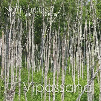 Numinous by Numinous