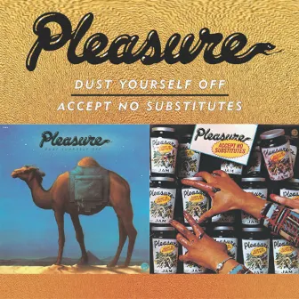 Dust Yourself Off/Accept No Substitutes by Pleasure