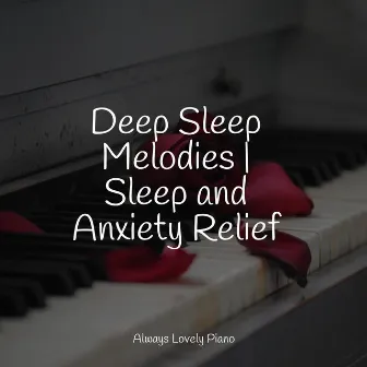 Deep Sleep Melodies | Sleep and Anxiety Relief by Chillout Cafe Music