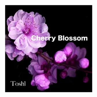 CHERRY BLOSSOM by Toshl