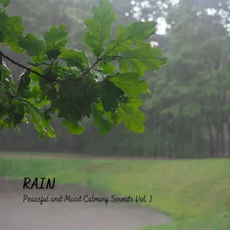 Rain: Peaceful and Mood Calming Sounds Vol. 1 by Breastfeeding Music