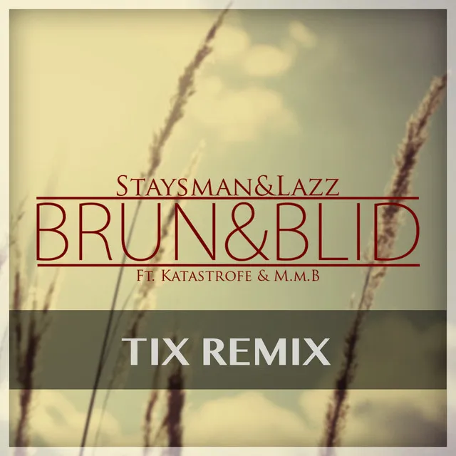 Brun Og Blid - Tix Remix