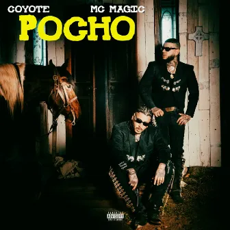 Pocho by Coyote