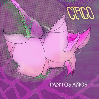 Tantos Años by Circo