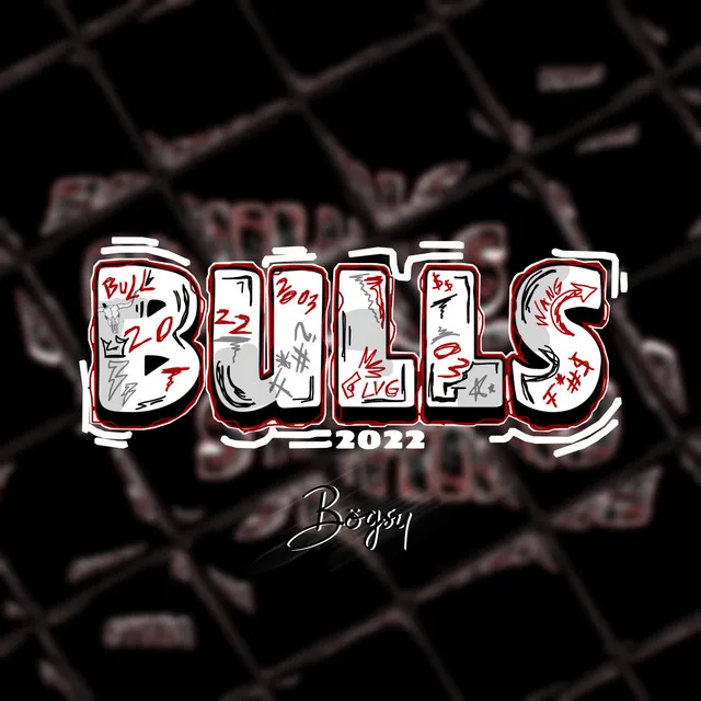 Bulls 2022 (Hjemmesnekk)