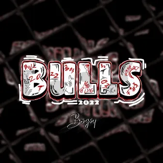 Bulls 2022 (Hjemmesnekk) by Bögsy