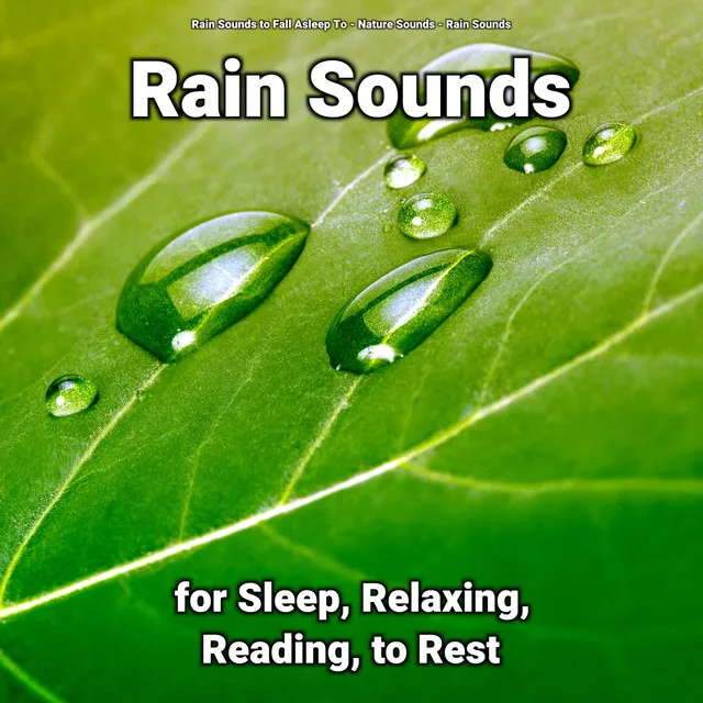 Rain Sounds for Sleep, Relaxing, Reading, to Rest