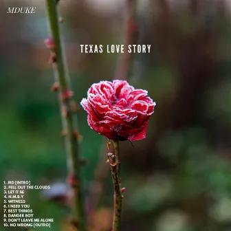 Texas Love Story by MDuke