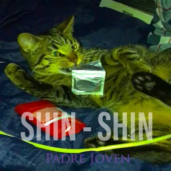 Shin-shin (Freestyle) by Padre Joven