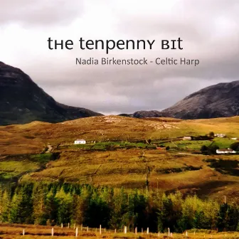 The Tenpenny Bit by Nadia Birkenstock