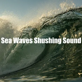 Sea Waves Shushing Sound by Shushing Water of the Sea