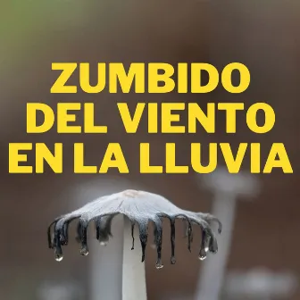 Zumbido Del Viento En La Lluvia by Los principales expertos en lluvia para el sueño profundo