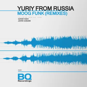 Moog Funk (Remixes) by Yuriy from Russia