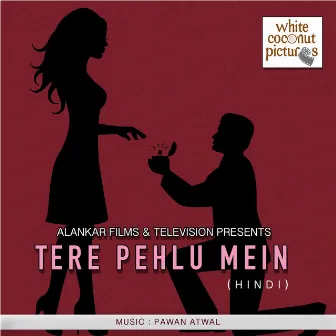 Tere Pehlu Mein by Unknown Artist