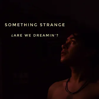 Something Strange (Are We Dreamin´) by Joe Deck