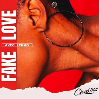 Fake Love by Cicco Mill