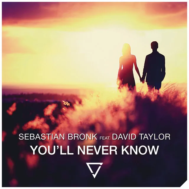 You'll Never Know (feat. David Taylor) - Radio Edit