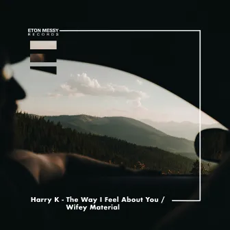 The Way I Feel About You / Wifey Material by Harry K