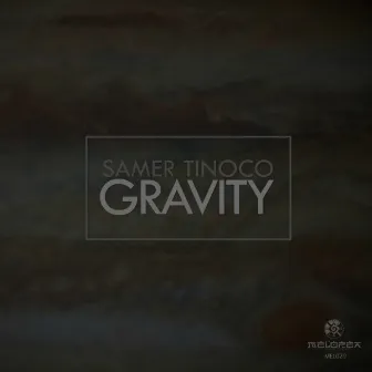 Gravity by Samer Tinoco