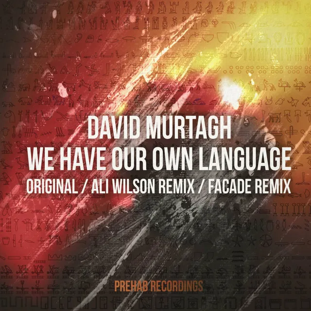 We Have Our Own Language - Ali Wilson Remix