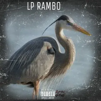 Birds by Lp Rambo