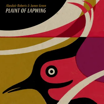 Plaint of Lapwing by Alasdair Roberts