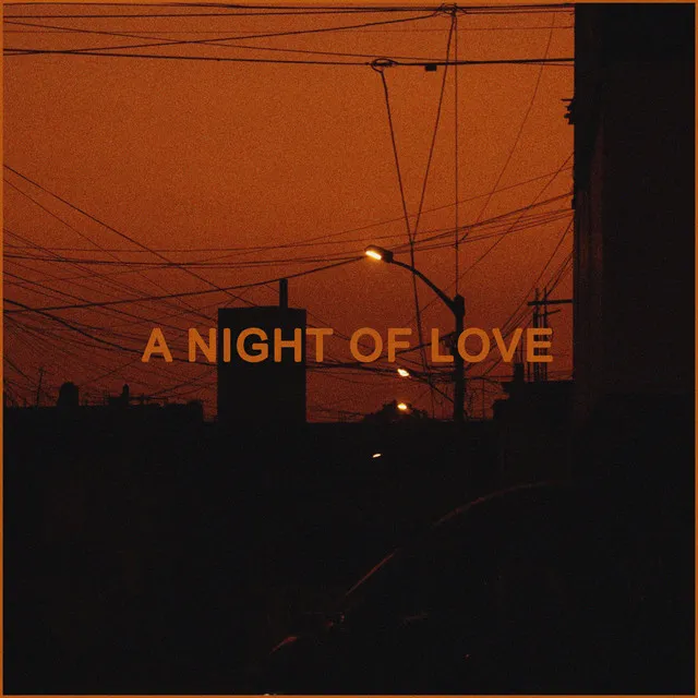 A NIGHT OF LOVE