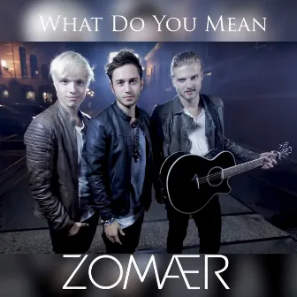 What Do You Mean by Zomaer