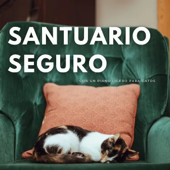 Santuario Seguro Con Un Piano Ligero Para Gatos by Lista de reproducción de jazz moderno