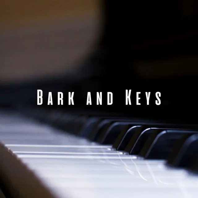 Bark and Keys: Piano Melodies for Dogs' Comfort