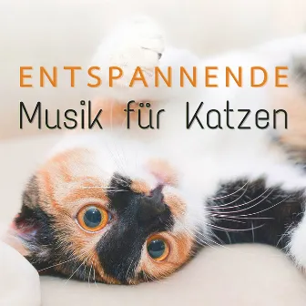 Entspannende Musik für Katzen: Beruhigende Lieder für Katzen, um Sich Mehr Geliebt und Geschätzt zu Fühlen by Cat Whisper