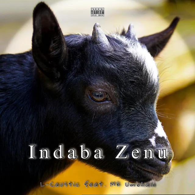 Indaba Zenu