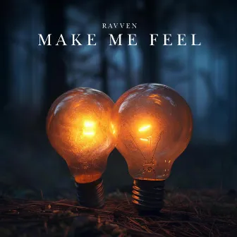 Make Me Feel by Ravven