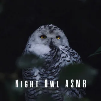 Night Owl ASMR by Nature Relax