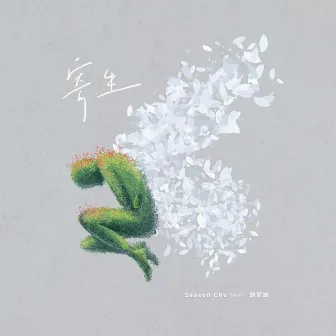 寄生 by Season Chu