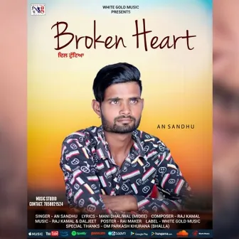 Broken Heart by Raj Kamal