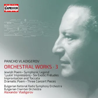 Vladigerov: Orchestral Works, Vol. 3 by Bulgarian Chamber Orchestra