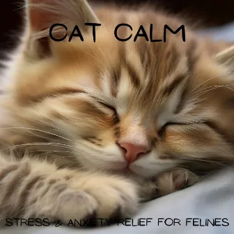 Cat Calm: Stress & Anxiety Relief for Felines by Music for Cat