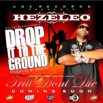 Drop It To The Ground by Hezeleo