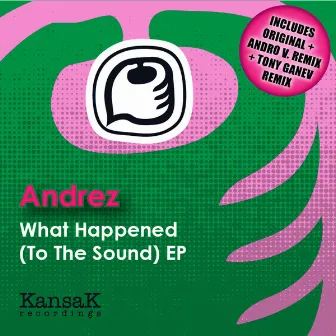 Andrez - What Happened (To The Sound) EP by Andrez