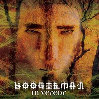 In Vereor by Boogieman