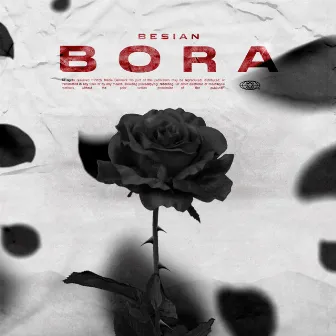 BORA by Besian