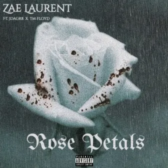 Rose Petals by Zae Laurent